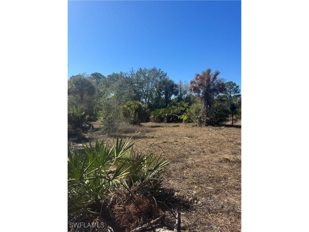 855 S Cabbage Palm Street Clewiston FL 33440 225011281 image12