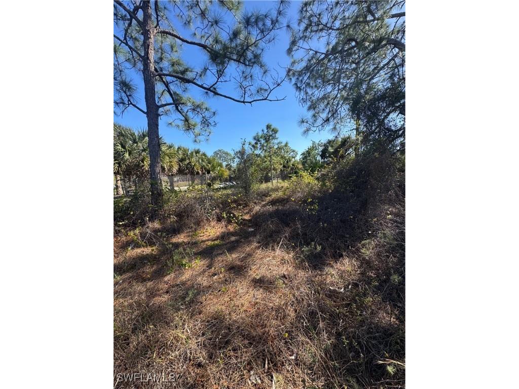 855 S Cabbage Palm Street Clewiston FL 33440 225011281 image4