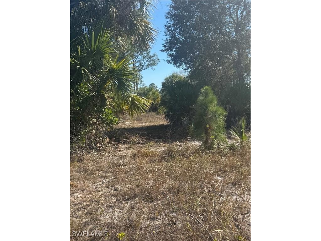 855 S Cabbage Palm Street Clewiston FL 33440 225011281 image7