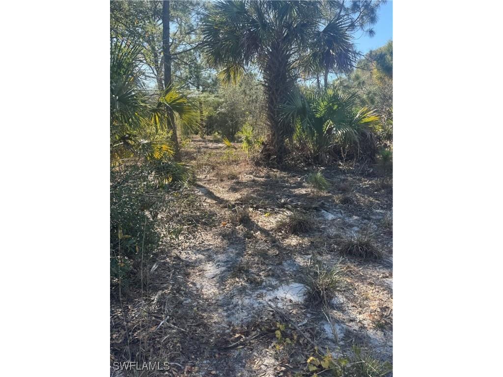 855 S Cabbage Palm Street Clewiston FL 33440 225011281 image9