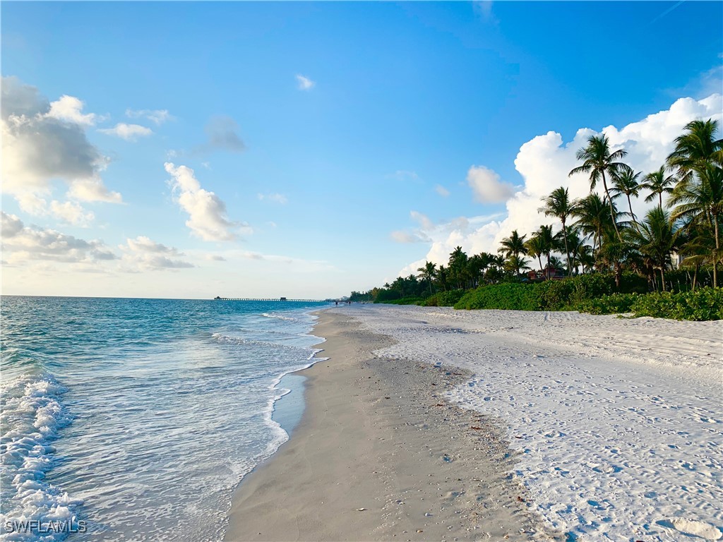 8555 Naples Heritage Drive #238 Naples FL 34112 225071432 image39