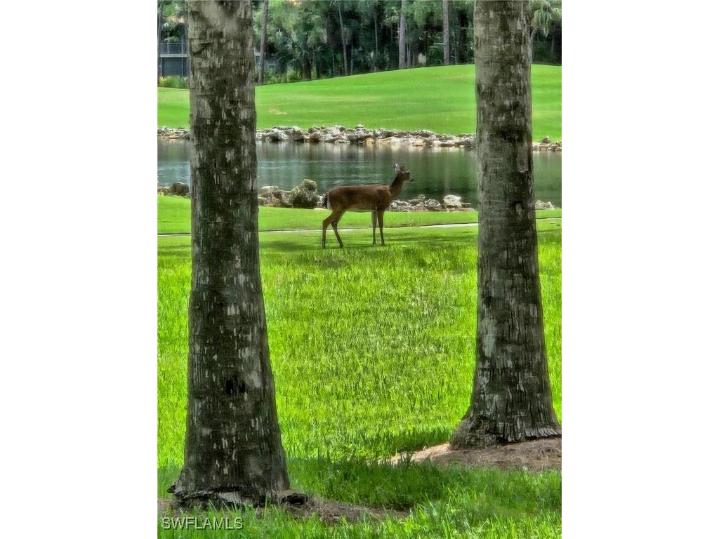 8563 Chase Preserve Drive Naples FL 34113 225064958 image24