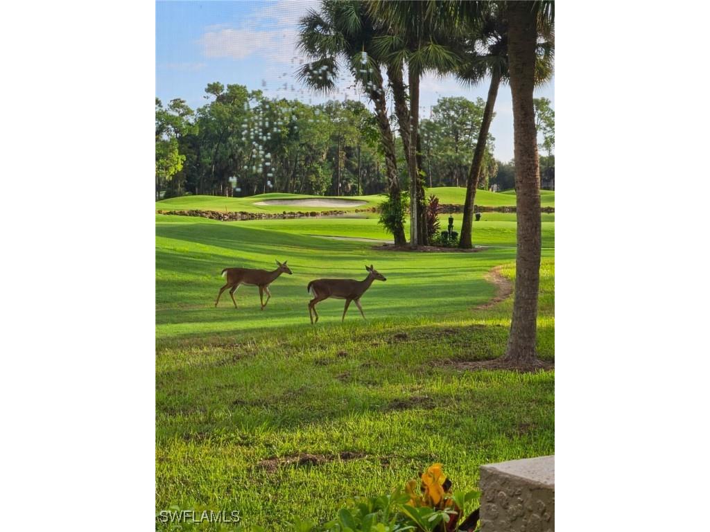 8563 Chase Preserve Drive Naples FL 34113 225064958 image32