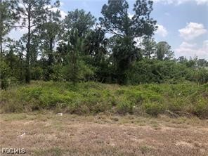 857 Apartment Street E Lehigh Acres FL 33974 2025022153 image1