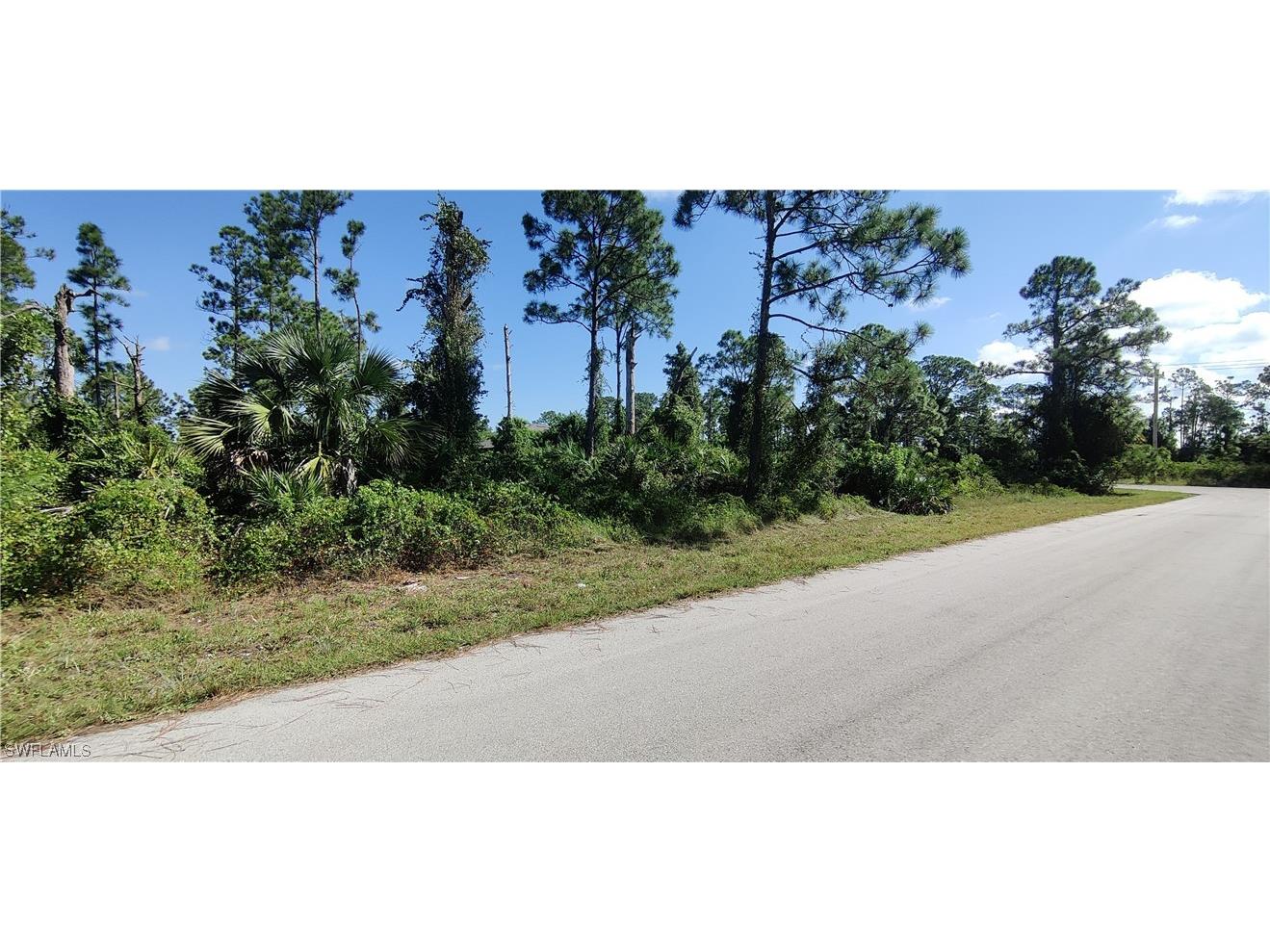 857 Foxtail Street Lehigh Acres FL 33974 223054208 image1