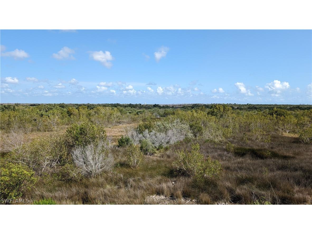 8572 Big Mangrove Drive Fort Myers FL 33908 224034746 image31