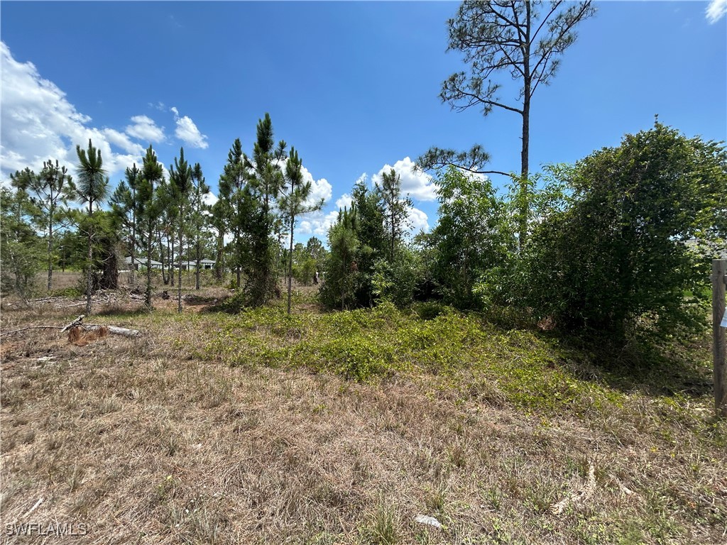 858 Arogon Street E Lehigh Acres FL 33974 225049726 image1