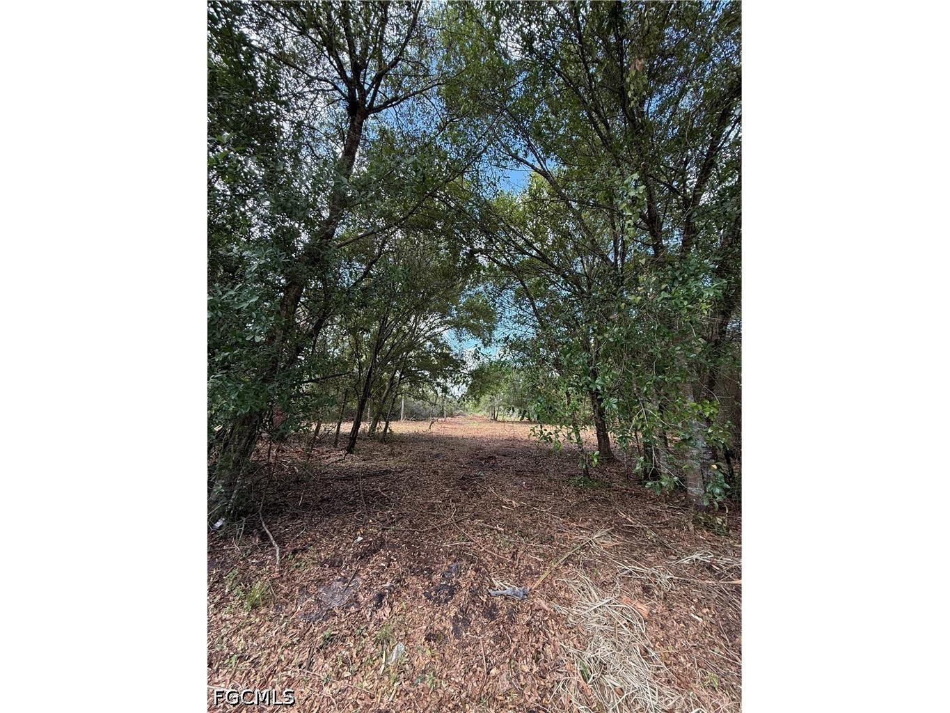 858 Woodland Boulevard Clewiston FL 33440 2026023362 image1