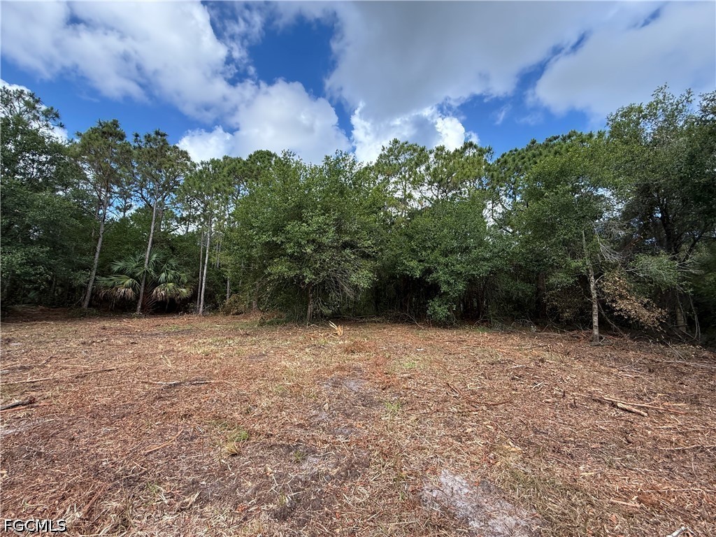 858 Woodland Boulevard Clewiston FL 33440 2026023362 image11