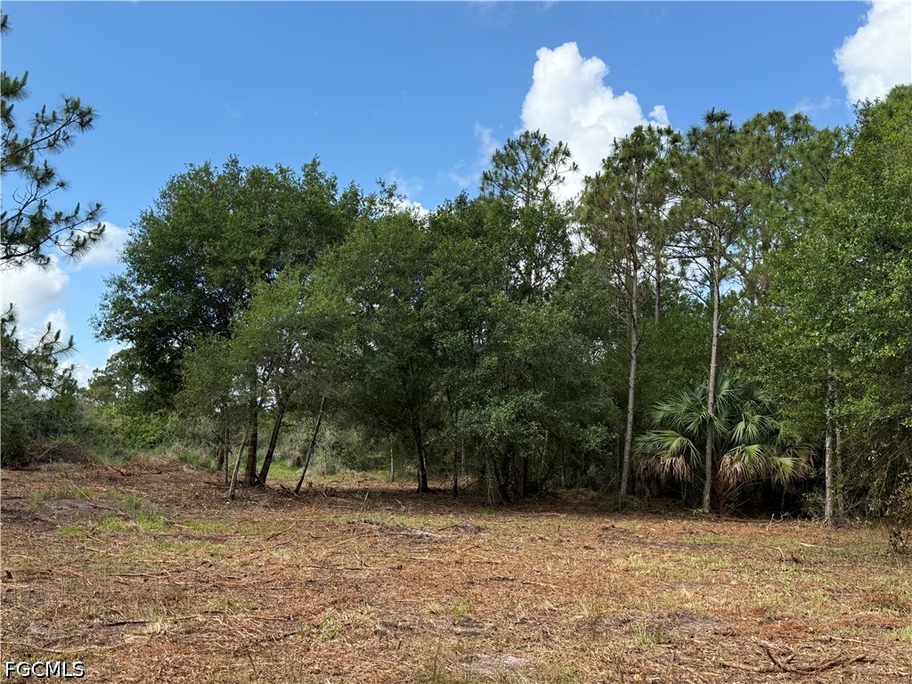 858 Woodland Boulevard Clewiston FL 33440 2026023362 image12