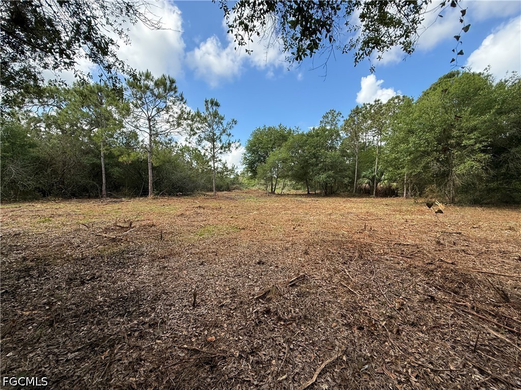 858 Woodland Boulevard Clewiston FL 33440 2026023362 image14