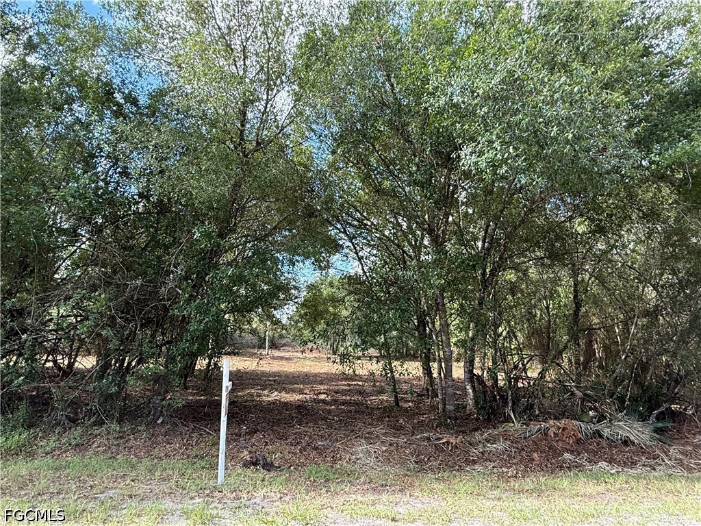 858 Woodland Boulevard Clewiston FL 33440 2026023362 image2