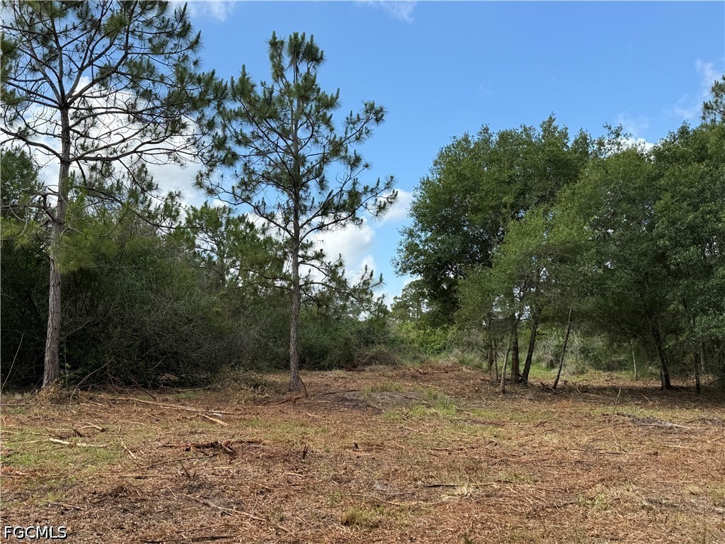 858 Woodland Boulevard Clewiston FL 33440 2026023362 image5