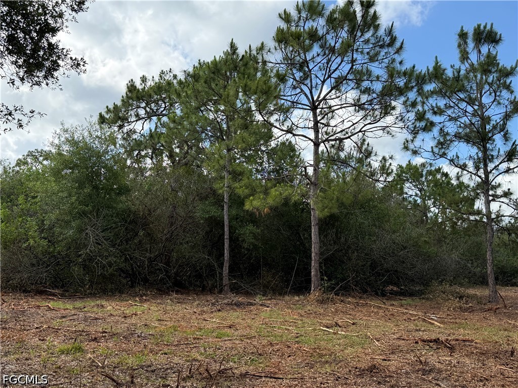858 Woodland Boulevard Clewiston FL 33440 2026023362 image6