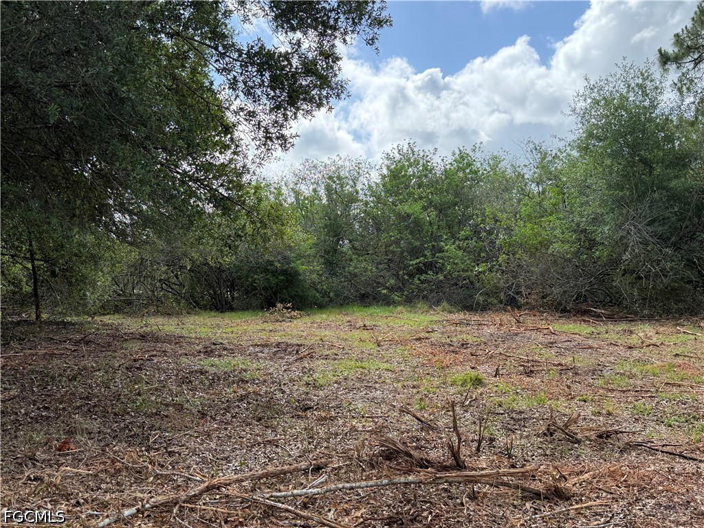 858 Woodland Boulevard Clewiston FL 33440 2026023362 image7
