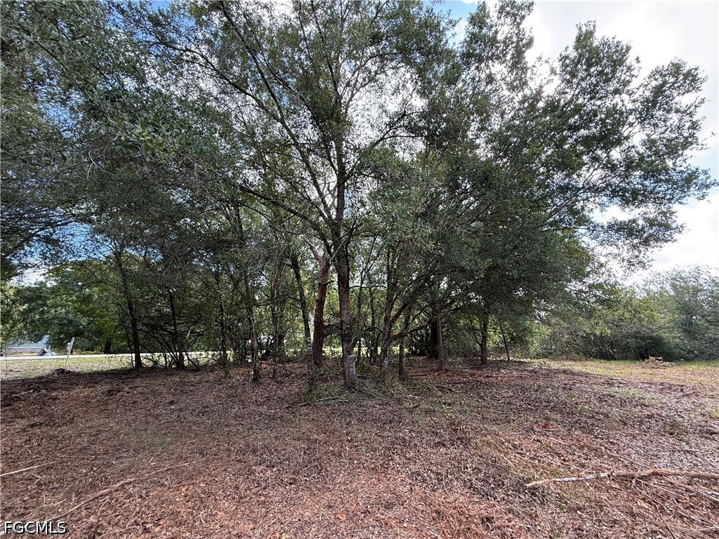858 Woodland Boulevard Clewiston FL 33440 2026023362 image8