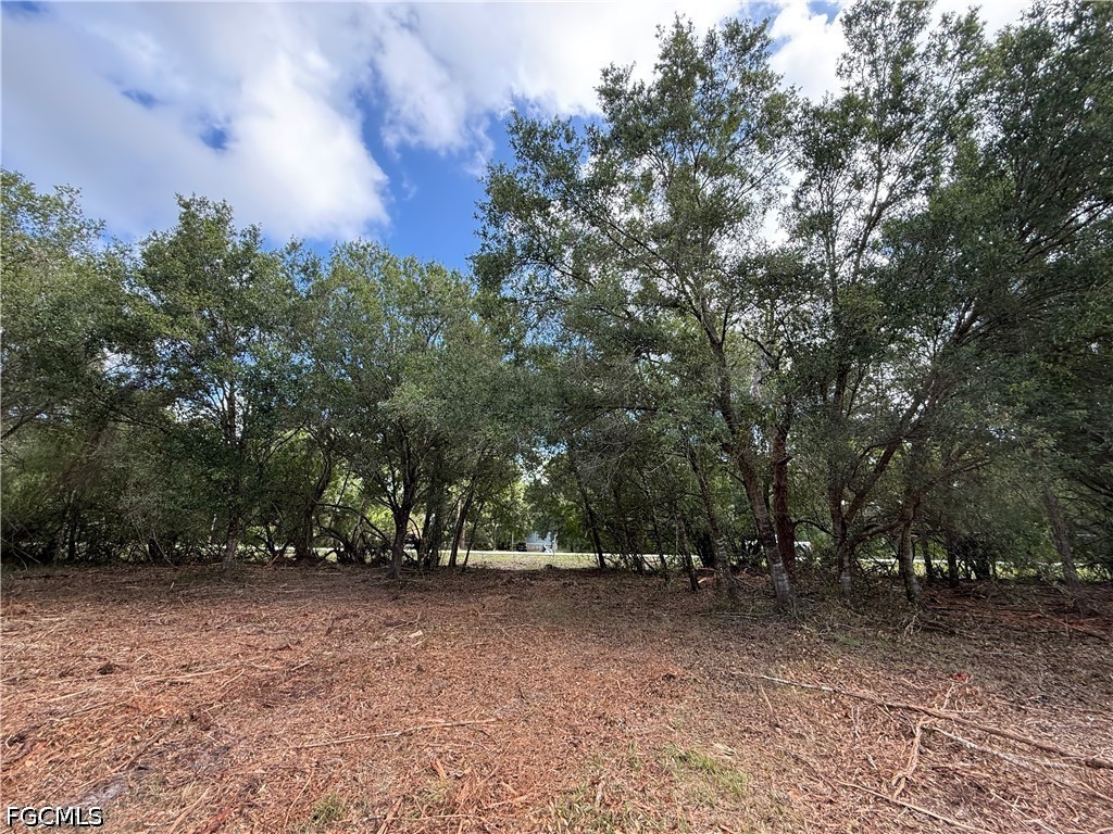 858 Woodland Boulevard Clewiston FL 33440 2026023362 image9