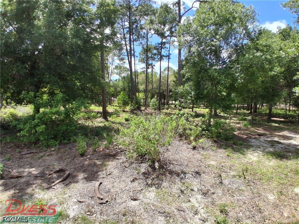 860 N Live Oak Street Clewiston FL 33440 2026016884 image43