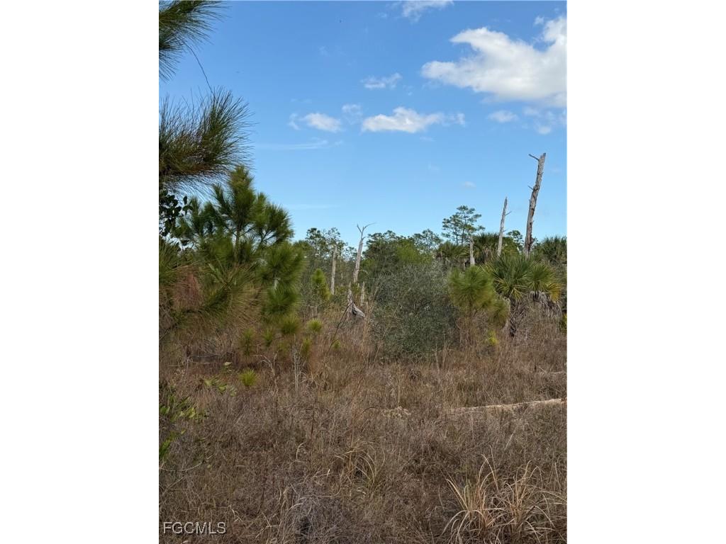 860 S Nogal Street Clewiston FL 33440 2026006422 image4