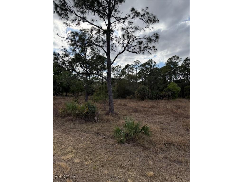 860 S Nogal Street Clewiston FL 33440 2026006422 image5
