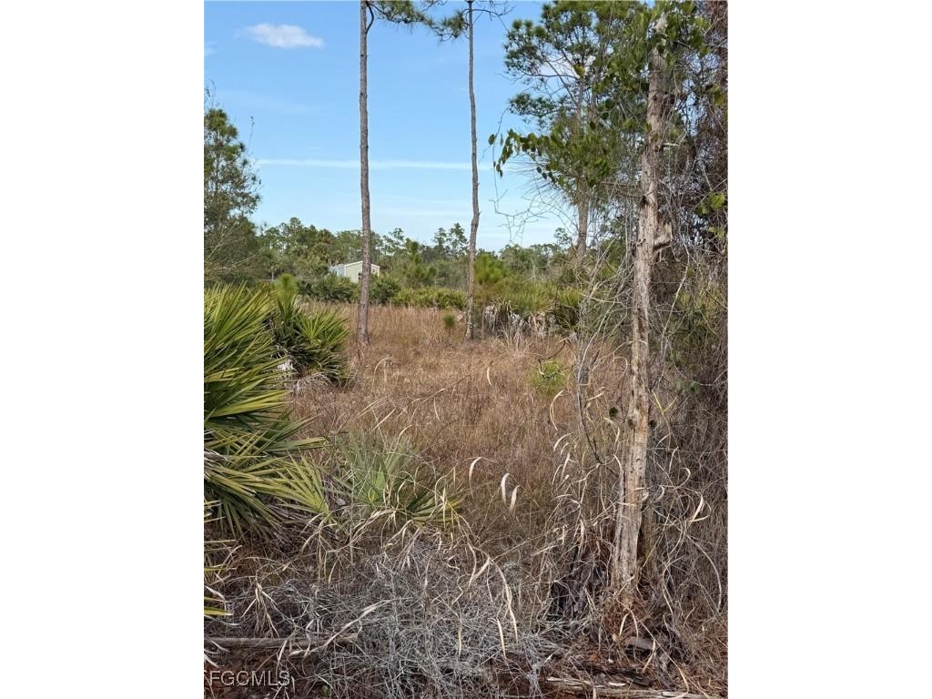 860 S Nogal Street Clewiston FL 33440 2026006422 image7