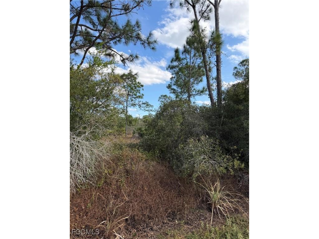 860 S Nogal Street Clewiston FL 33440 2026006422 image8