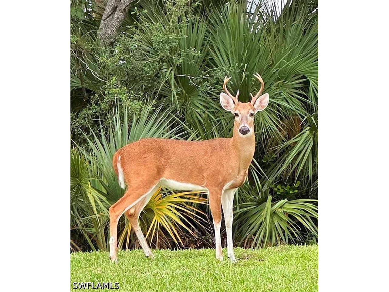 8600 Naples Heritage Drive #514 Naples FL 34112 226021928 image33