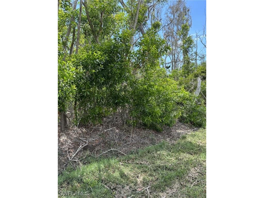 8615 Stringfellow Road Other FL 33956 223040646 image1