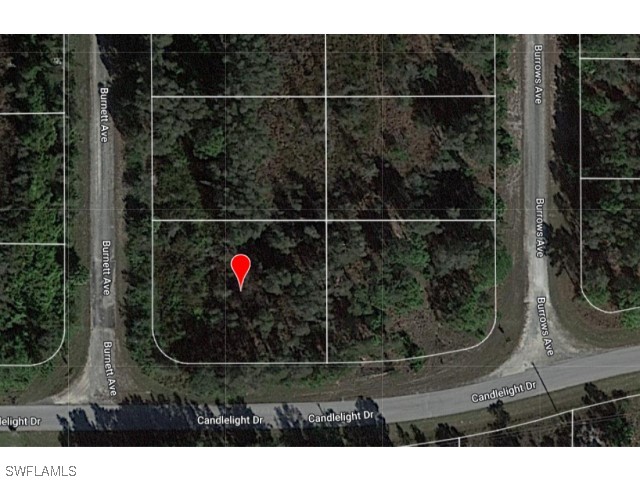 865 Burnett Avenue Lehigh Acres FL 33974 223059990 image1