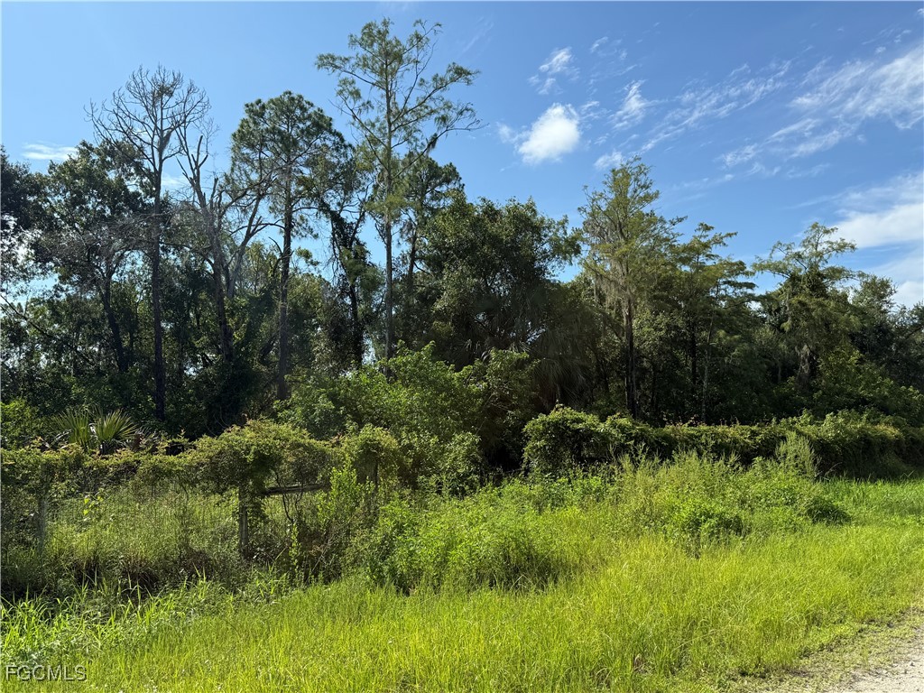 865 N Jinete Street Clewiston FL 33440 2025000359 image1