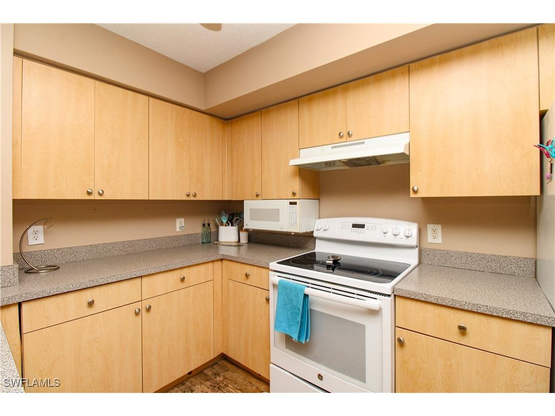 8659 River Homes Lane #1108 Bonita Springs FL 34135 225061255 image11