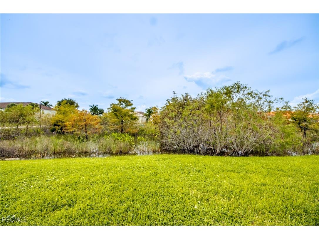 8668 Athena Court Lehigh Acres FL 33971 2025010945 image32