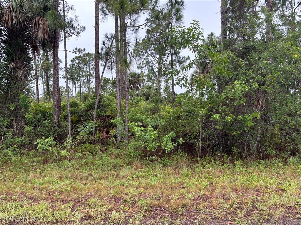 868 Audrey Street E Lehigh Acres FL 33974 225060891 image2