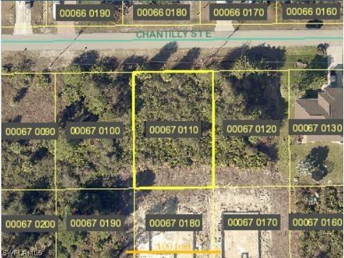 868 Chantilly Street E Lehigh Acres FL 33974 222063632 image1