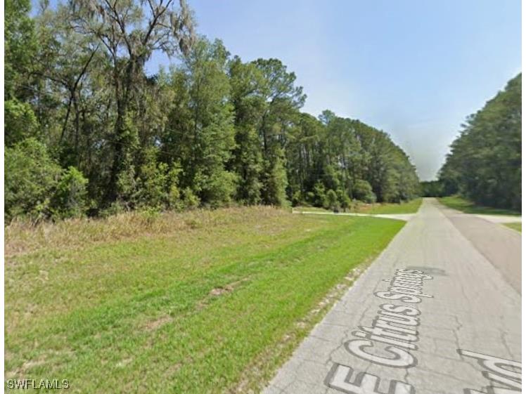 8698 N Alameda Drive Citrus Springs FL 34434 225070212 image1