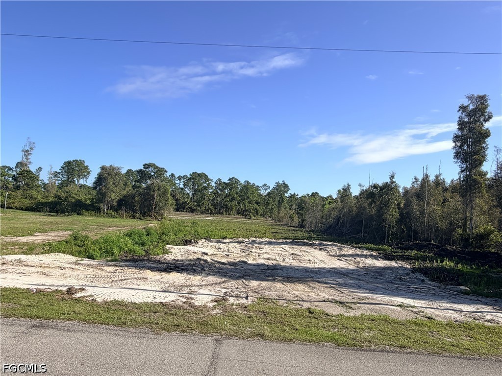 870 Arturo Street E Lehigh Acres FL 33974 2025006071 image3
