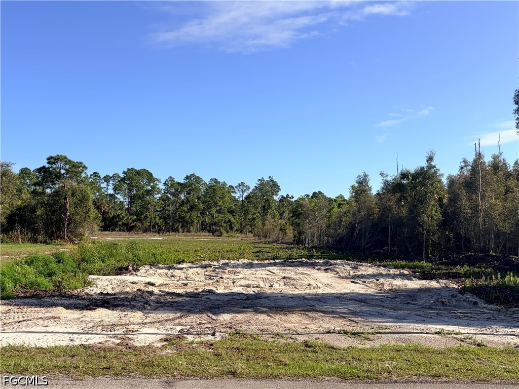 870 Arturo Street E Lehigh Acres FL 33974 2025006071 image5