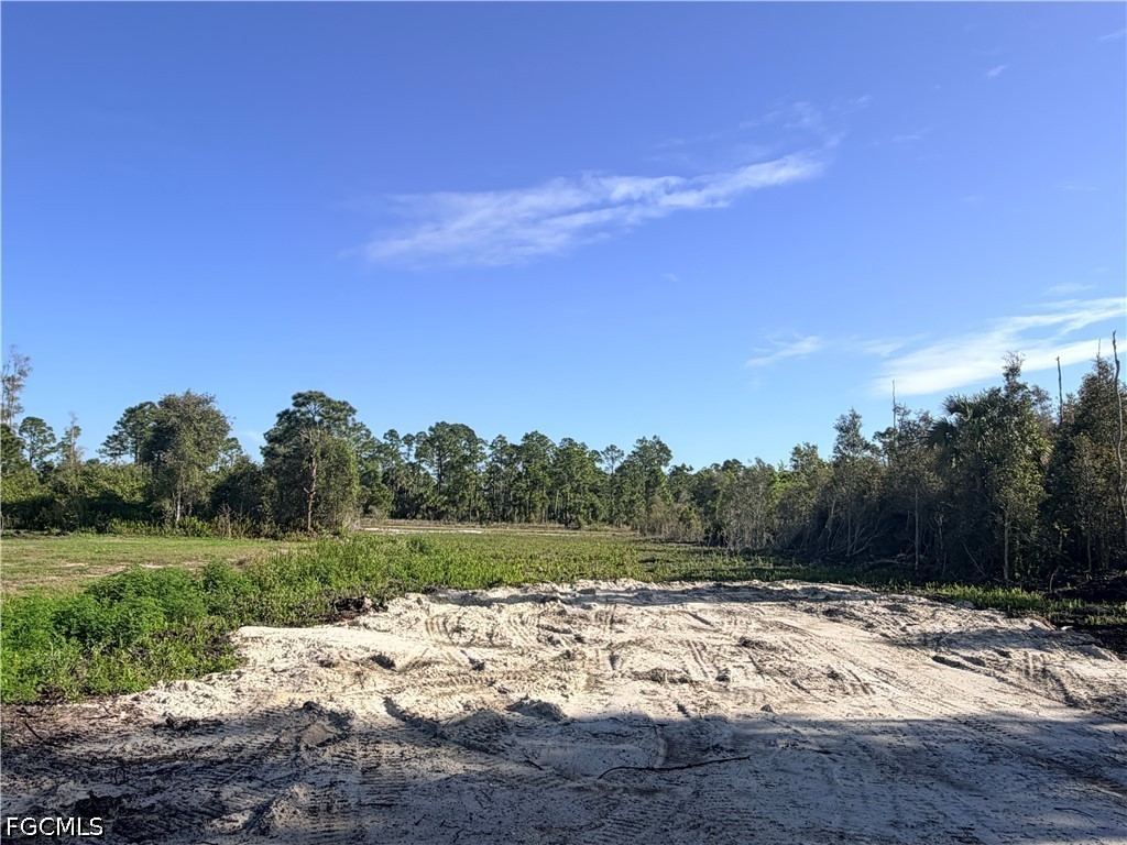 870 Arturo Street E Lehigh Acres FL 33974 2025006071 image7
