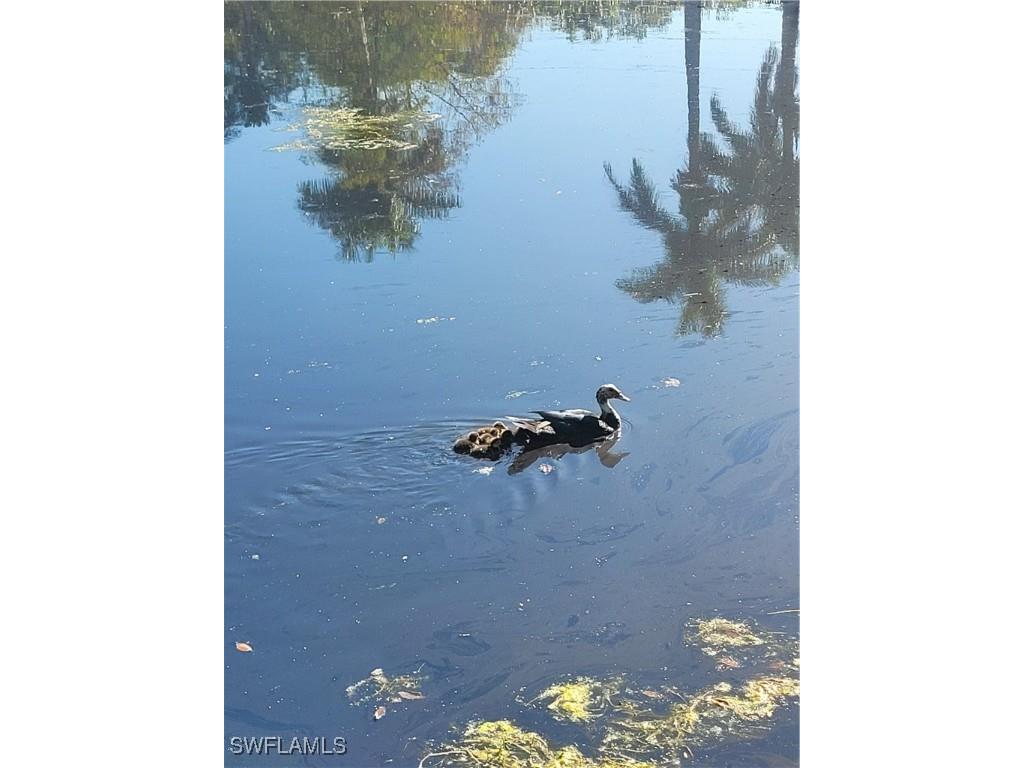 870 Forest Avenue Naples FL 34102 226000690 image14
