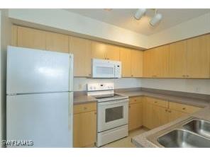 8717 River Homes Lane #5102 Bonita Springs FL 34135 226001901 image2