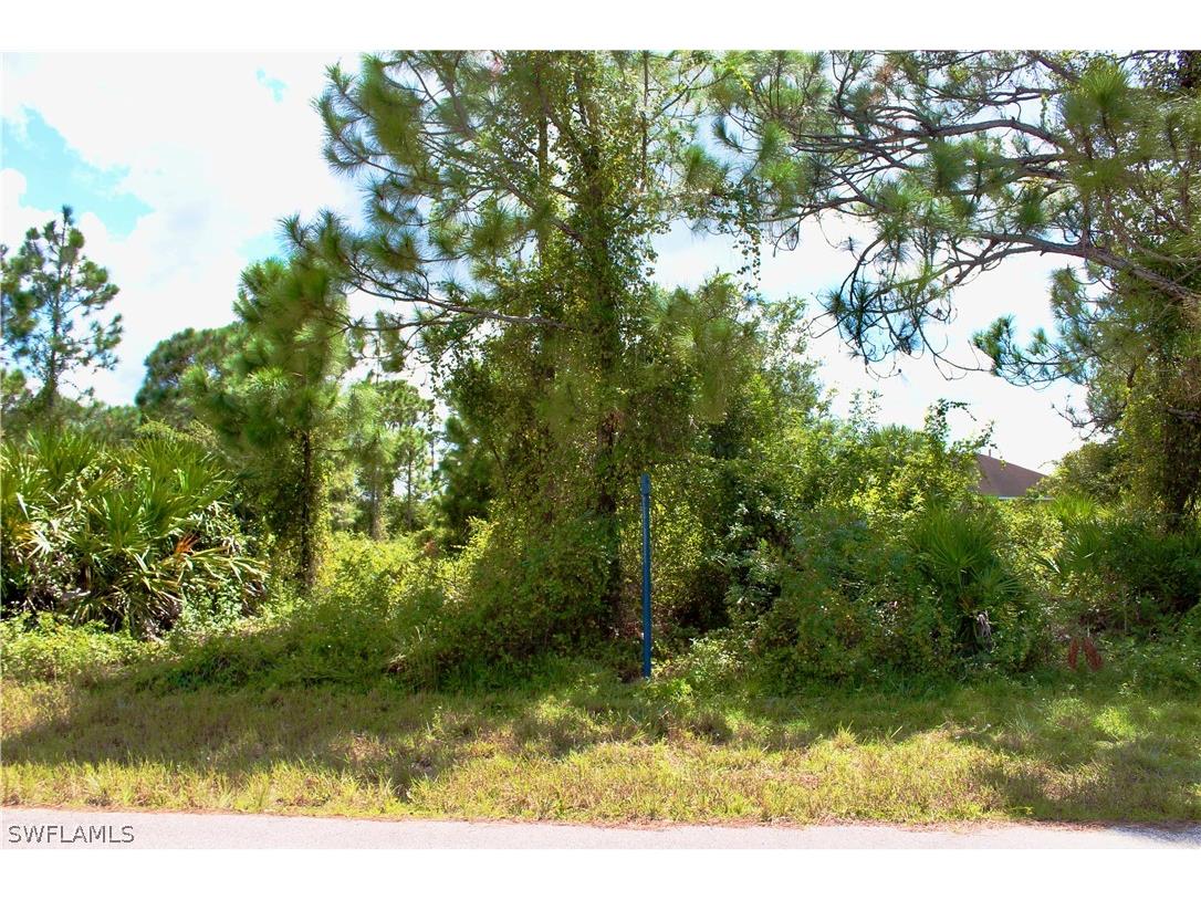 872 Chezy Street E Lehigh Acres FL 33974 224048803 image1