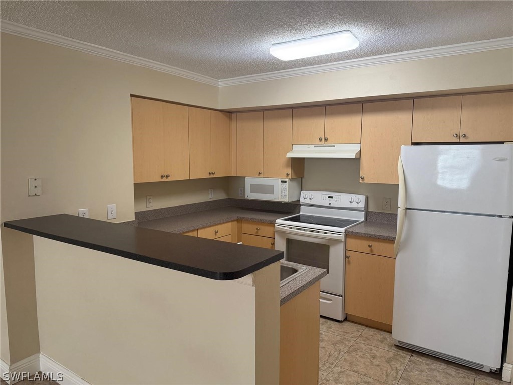 8735 River Homes Lane #6104 Bonita Springs FL 34135 226009659 image12