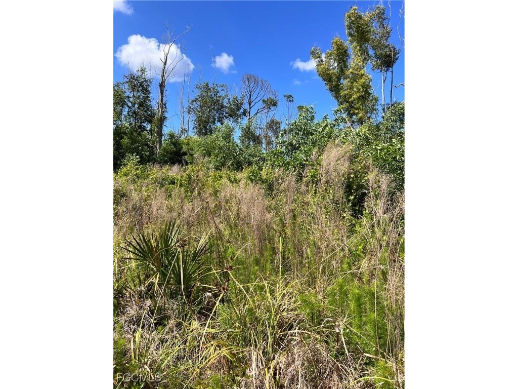 8746 Nome Court Saint James City FL 33956 2025006947 image10