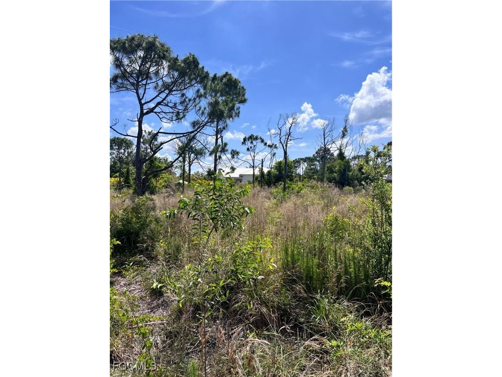 8746 Nome Court Saint James City FL 33956 2025006947 image5