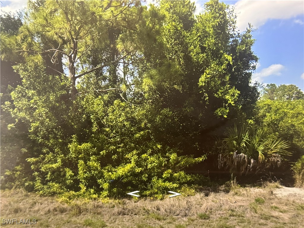 875 Haskell Street E Lehigh Acres FL 33974 225057159 image1