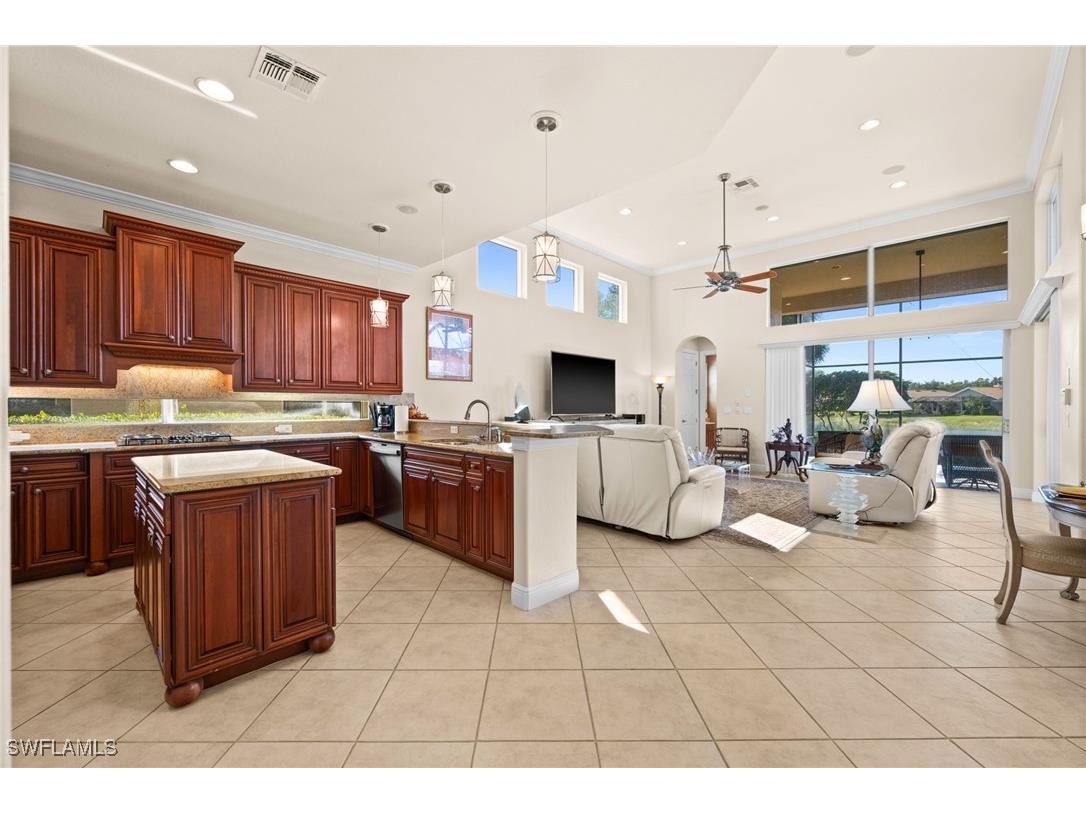 8766 Largo Mar Drive Estero FL 33967 225081033 image9