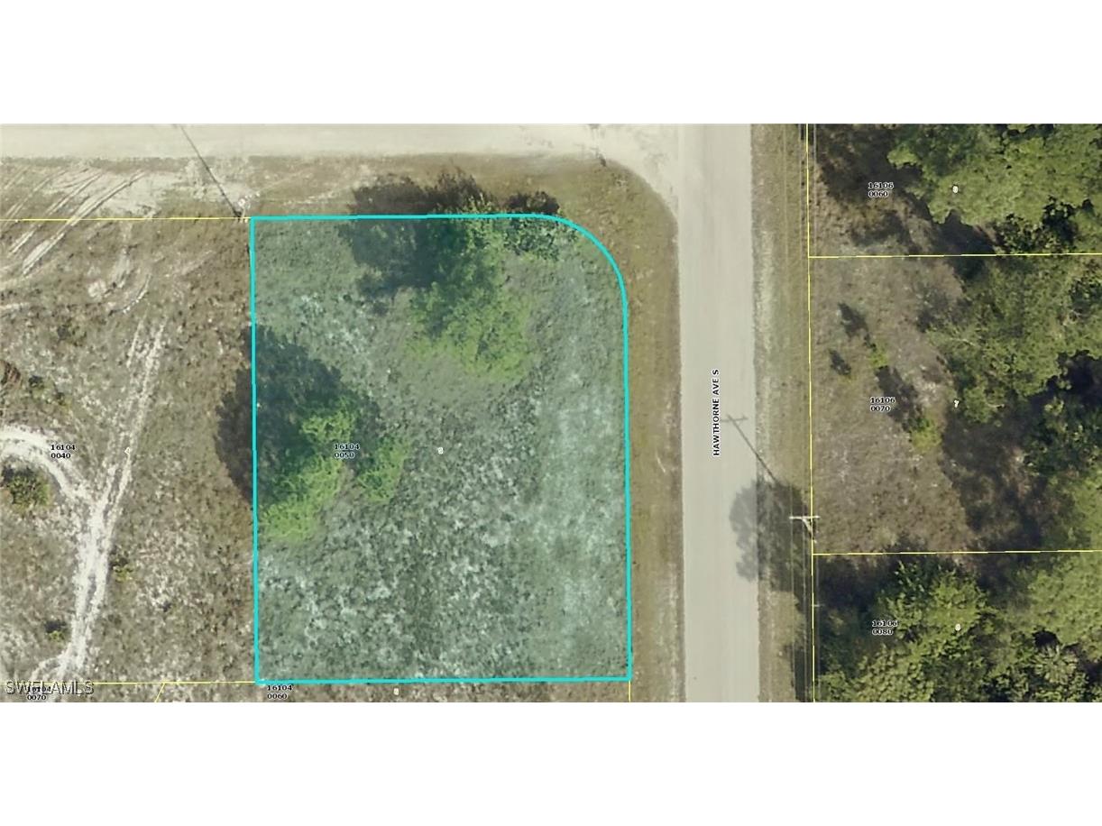 878 Sunflower Court Lehigh Acres FL 33974 224077553 image1