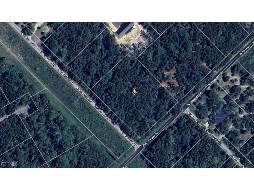 8783 N Buttercup Way Citrus Springs FL 34428 2025021907 image1