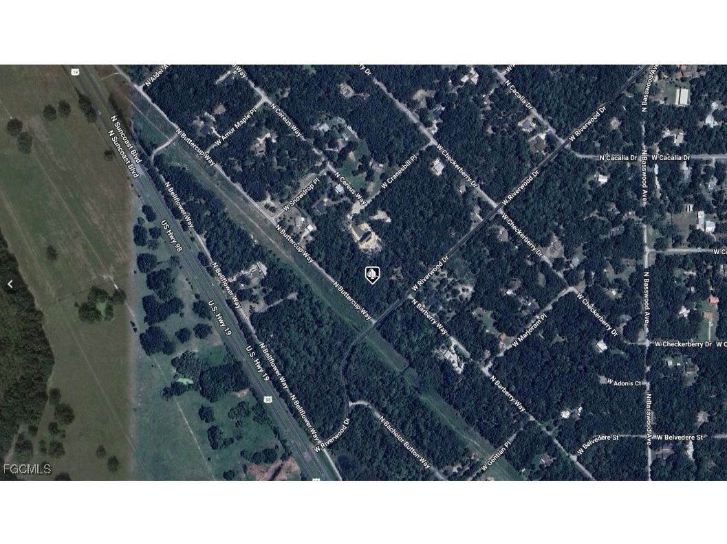 8783 N Buttercup Way Citrus Springs FL 34428 2025021907 image2