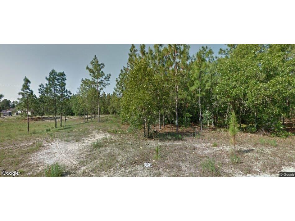 8858 N Vienna Drive Citrus Springs FL 34434 225059860 image1